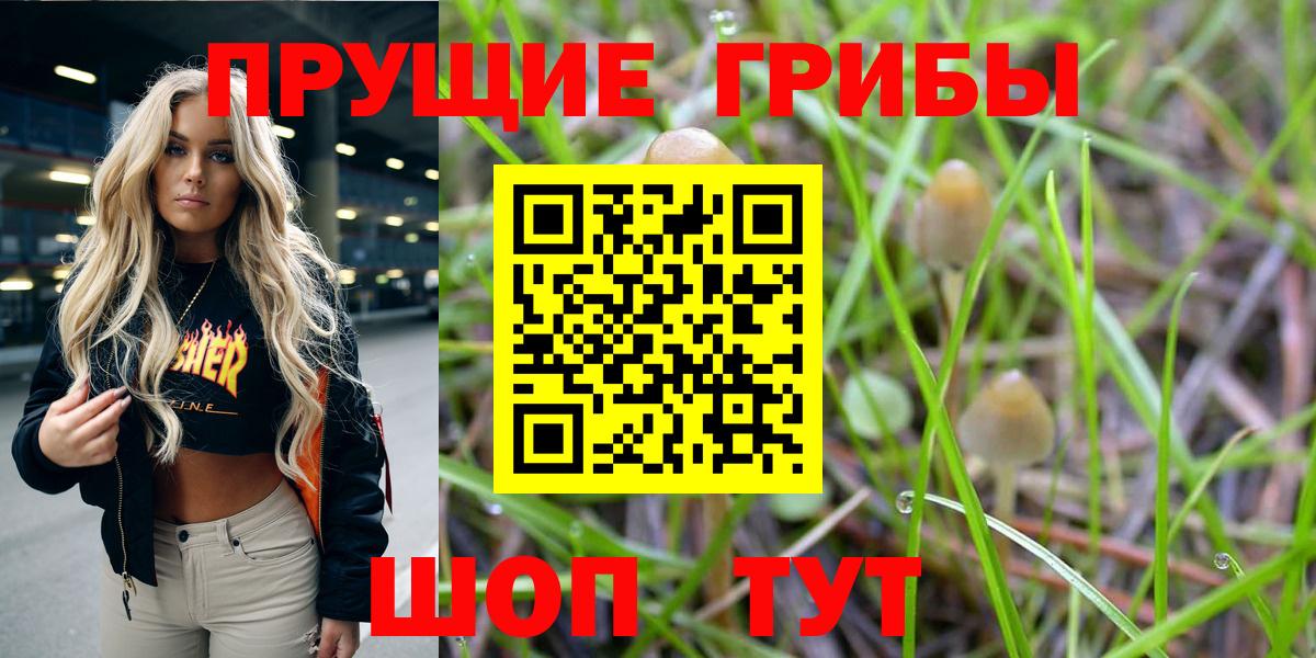 Галлюциногенные грибы прущие грибы Балабаново